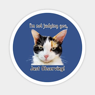 Cute Calico Cat with Attitude – Just Observing! Magnet